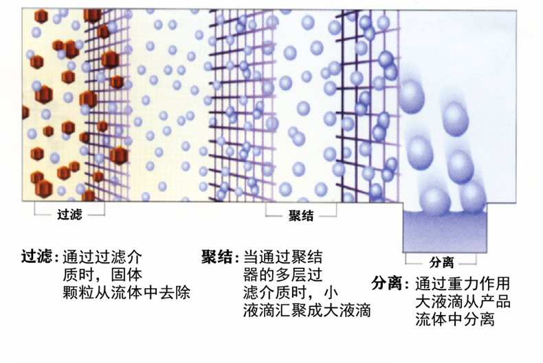 QQ图片20201218085427_副本